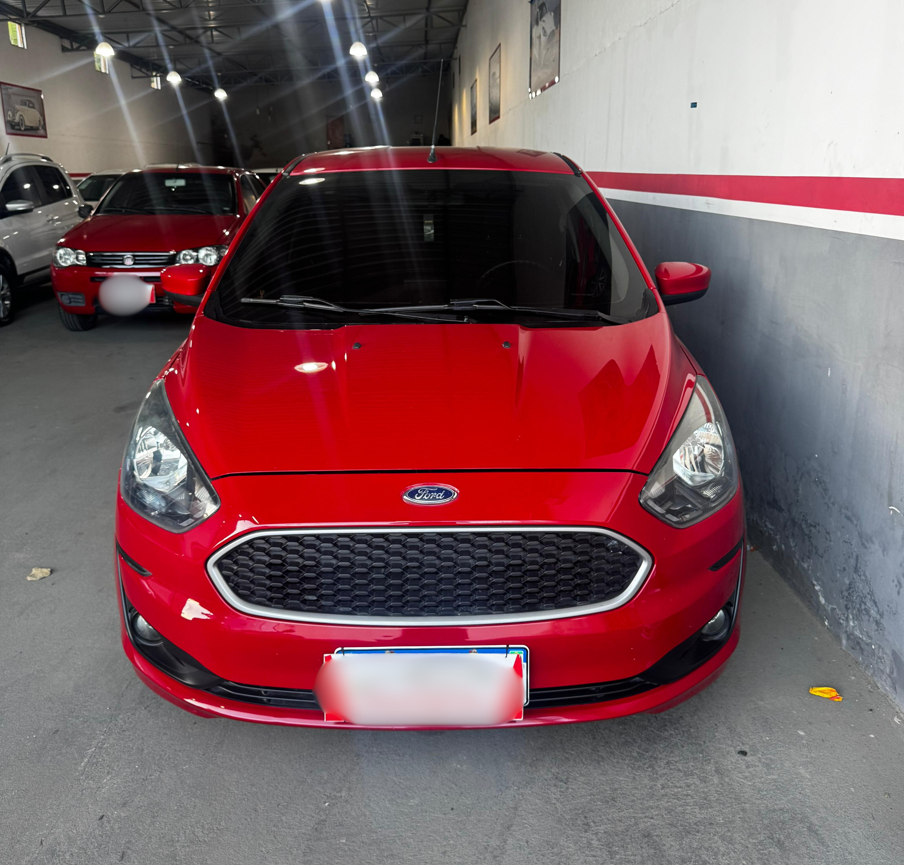 Carro 7